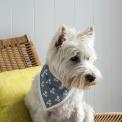 Large Grey-Blue Paw And Cross Bones Dog Bandana