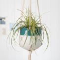 Large Sea Green Dipped Macrame Plant Pot