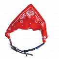 Large Red Paisley Dog Bandana