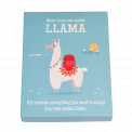 Make Your Own Dolly Llama Model