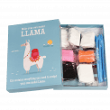 Make Your Own Dolly Llama Model