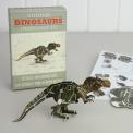 Make Your Own Wind Up Tyrannosaurus Rex