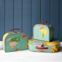 World Map Cases (set Of 3)