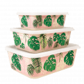 Tropical Palm Bamboo Boxes (set Of 3)