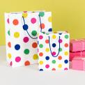 Small Party Spots Gift Bag