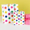 Large Party Spots Gift Bag