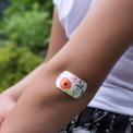 Plasters In Tin Summer Meadow