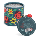 Winding music box with illustrated flowers and ladybird design, featuring a red turning handle with tag.