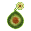 Avocado-shaped dishcloth with textured green layers, brown pit detail, and hanging loop with tag.