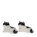 Cat‑shaped ceramic salt and pepper shakers .