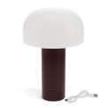 USB lamp with a white dome shade and brown base
