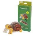 Make Your Own Tortoise 3D cardboard model kit with assembled tortoise and retail box.