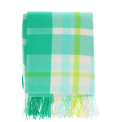 Green, white, lime green and tea check blanket.