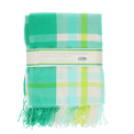Green, white, lime green and tea check blanket.