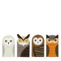 Owl magnetic bookmarks set featuring four owl designs in assorted colours and patterns