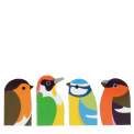 Garden bird magnetic bookmarks set featuring four colourful bird designs
