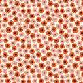 Poppy Wrapping Paper (5 Sheets)