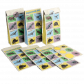 Prehistoric Land Party Bags (set Of 6)