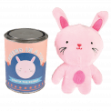 Robyn The Rabbit Friend In A Tin