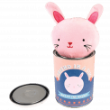 Robyn The Rabbit Friend In A Tin