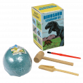 Small Dinosaur Excavation Kit