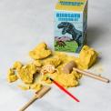 Small Dinosaur Excavation Kit