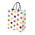 Small Party Spots Gift Bag