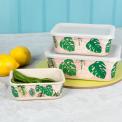 Tropical Palm Bamboo Boxes (set Of 3)