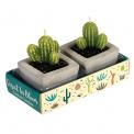 Cactus Candles In Cement Pots (set Of 2)