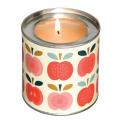 Vintage Apple Scented Candle