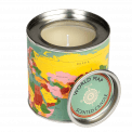 World Map Scented Candle