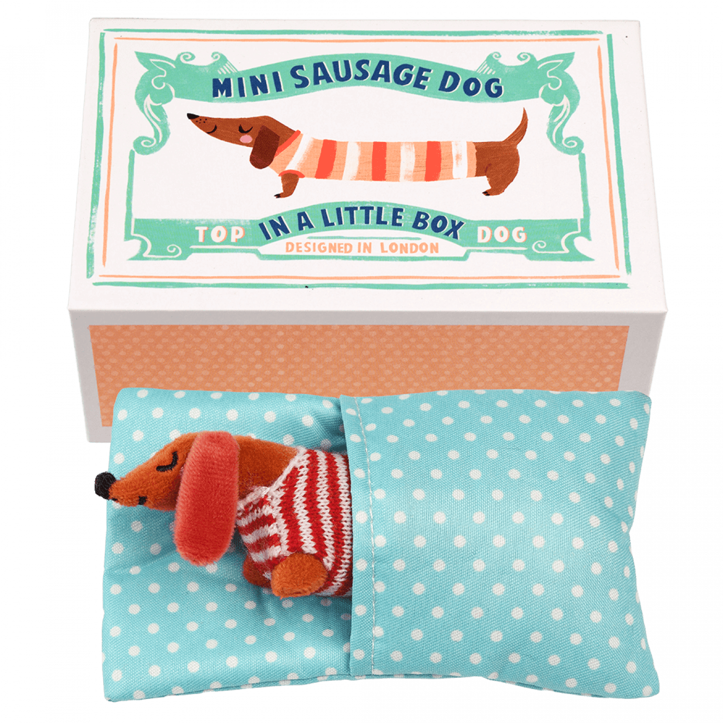 ﻿Mini Sausage Dog In A Little Box ﻿Rex London