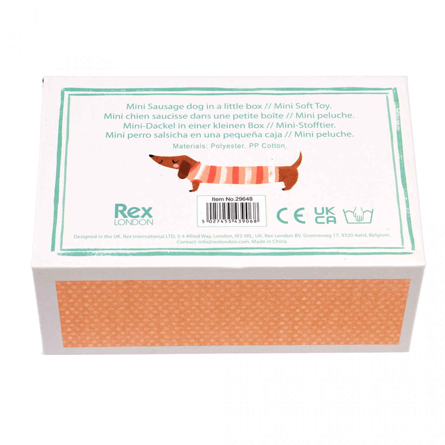 ﻿Mini Sausage Dog In A Little Box ﻿Rex London