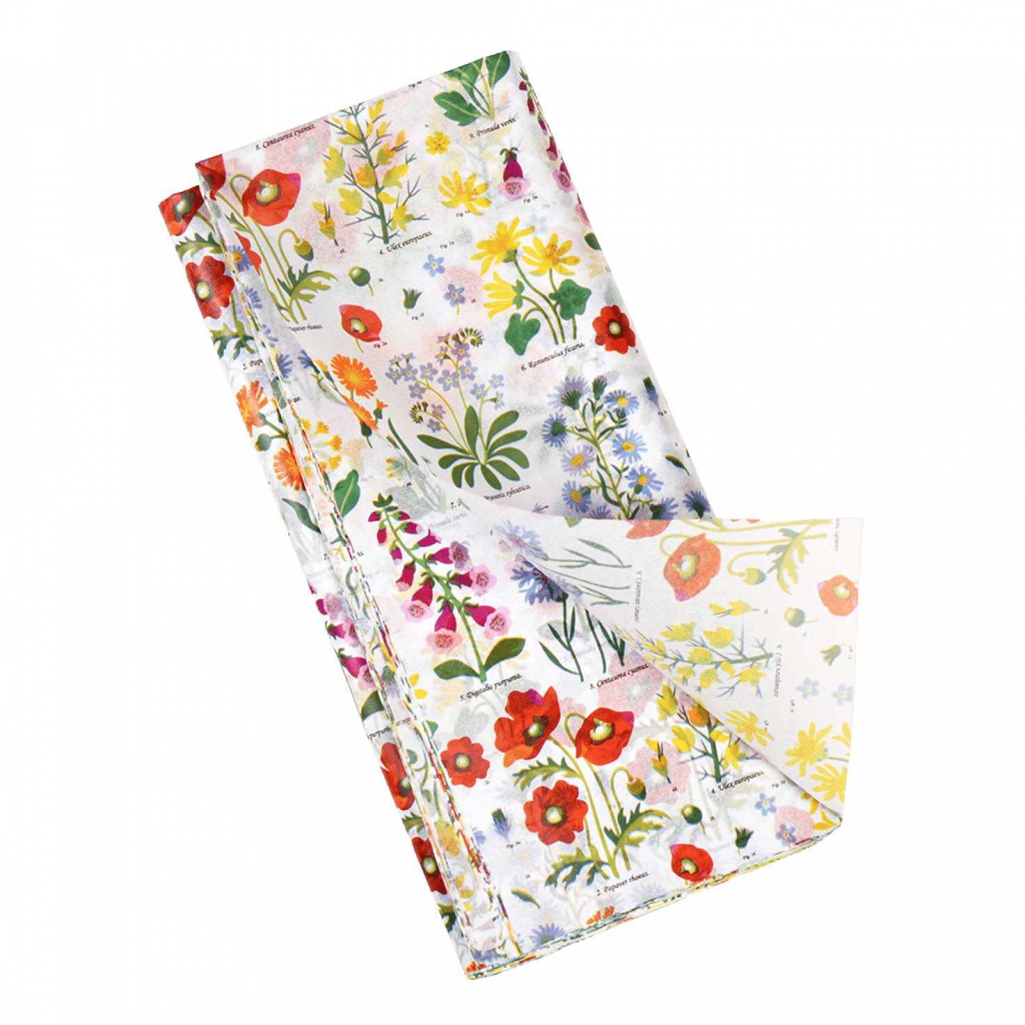 Wild Flowers Tissue Paper (10 Sheets) ﻿Rex London