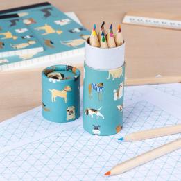 Best In Show Colouring Pencils (set Of 12)