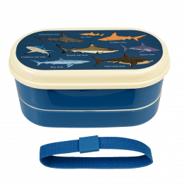 Sharks bento box with elastic strap removed