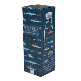 Sharks stainless steel bottle box