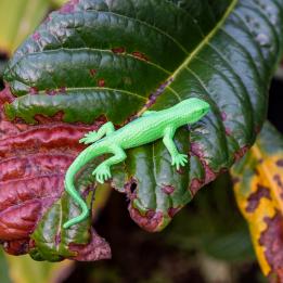 Assorted Super Stretchy Gecko