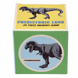 prehistoric land memory game box