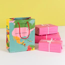 Small world map gift bag