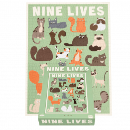 Completed Nine Lives puzzle with box