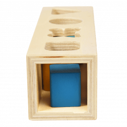 Wooden shape sorter toy with shapes inside