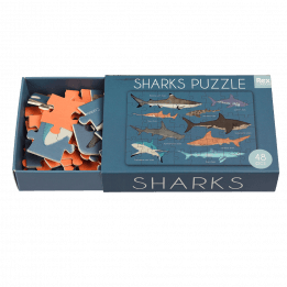 Shark puzzle pieces inside box