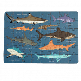 Sharks completed puzzle