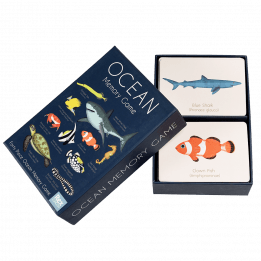 Ocean memory game box opened to reveal game cards