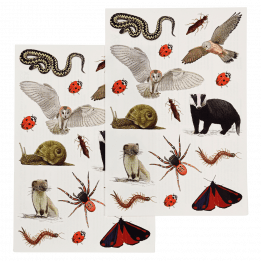 Nature Trail temporary tattoo sheets with various insects, birds, mammals, etc. found in nature