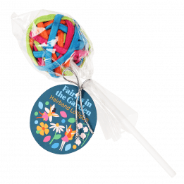 Fairies in the Garden hairband lollipop in packaging