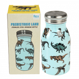 Prehistoric Land 250ml stainless steel bottle with box