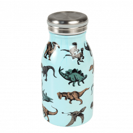 Stainless steel bottle in pale blue with print of dinosaurs