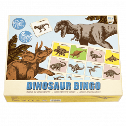 Prehistoric land bingo game front packaging box